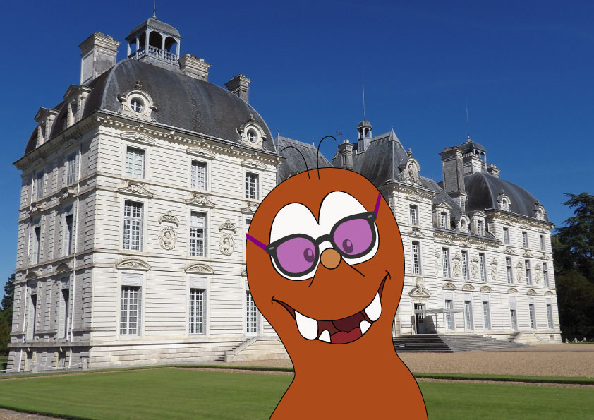 Family day trips from Paris_Château de Cheverny_Tapsy Blog
