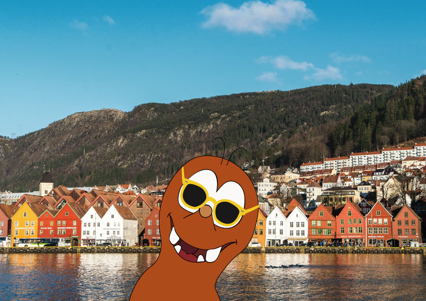 happiest country in the world_Nroway_Tapsy Tour of Bergen