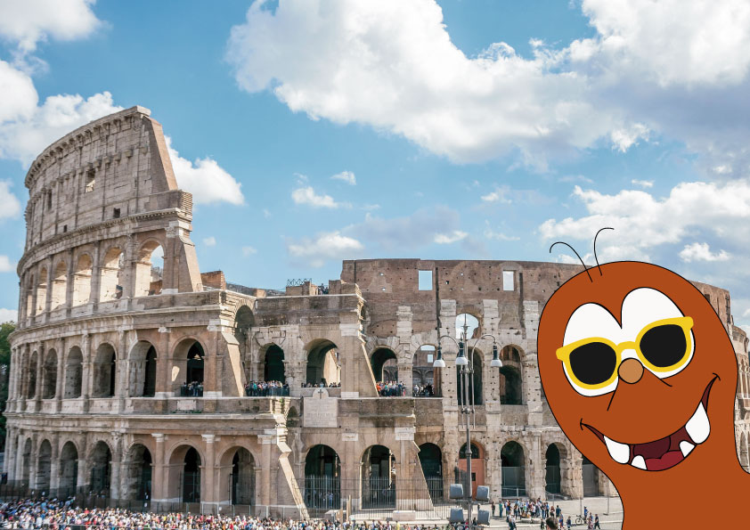 interesting facts about the Colosseum for kids_Tapsy Blog