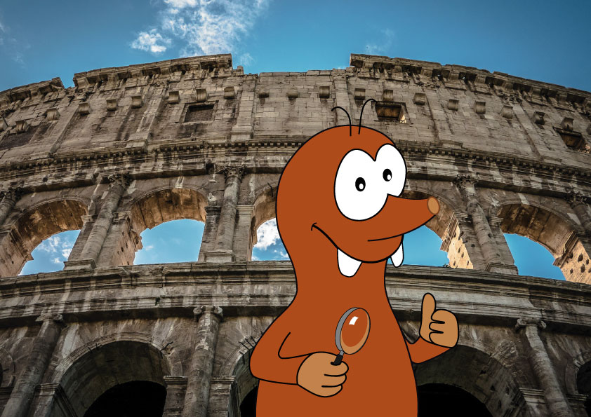 interesting facts about the Colosseum for kids_Tapsy Blog