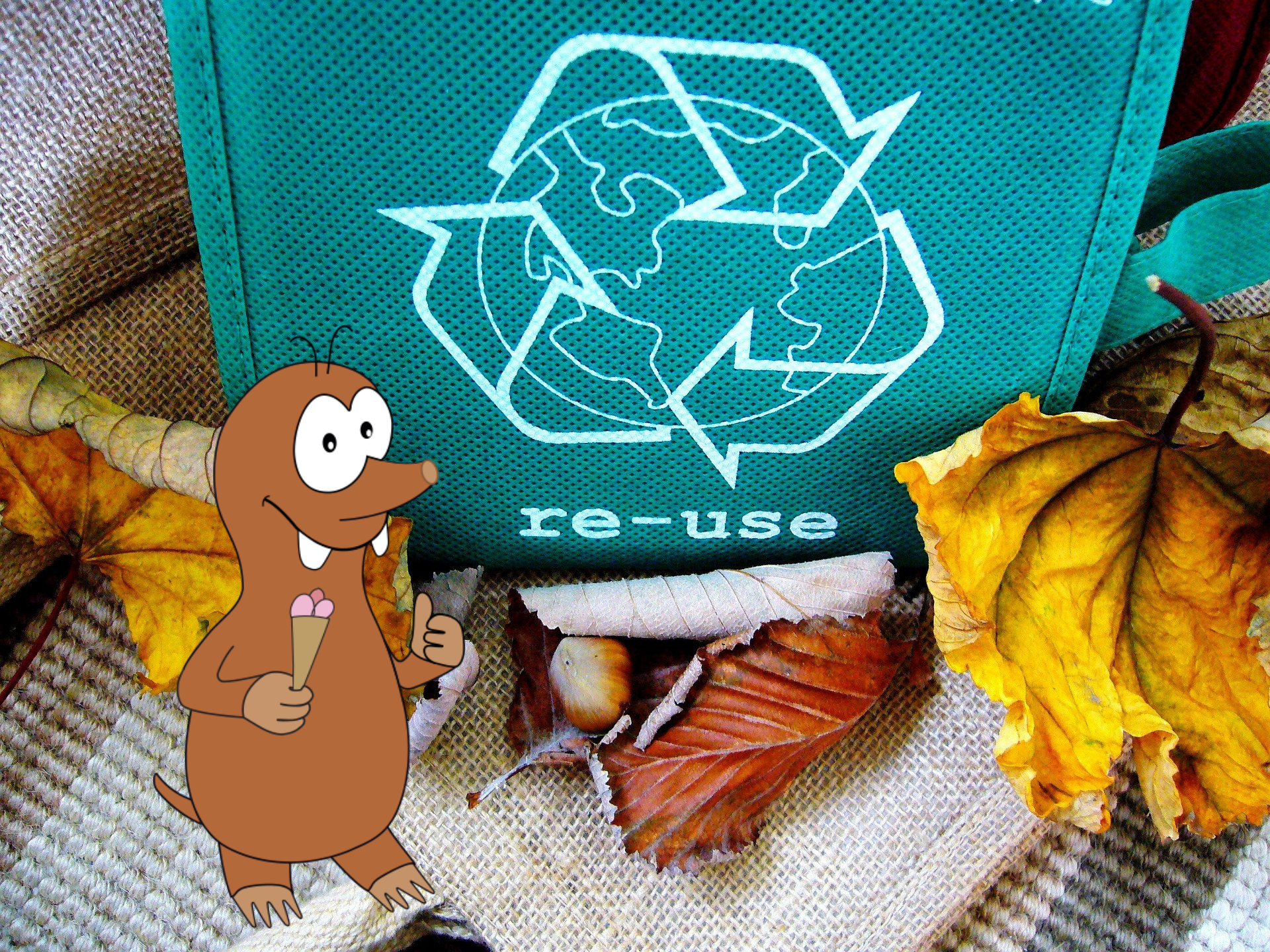 plastic pollution facts for kids_Tapsy Blog
